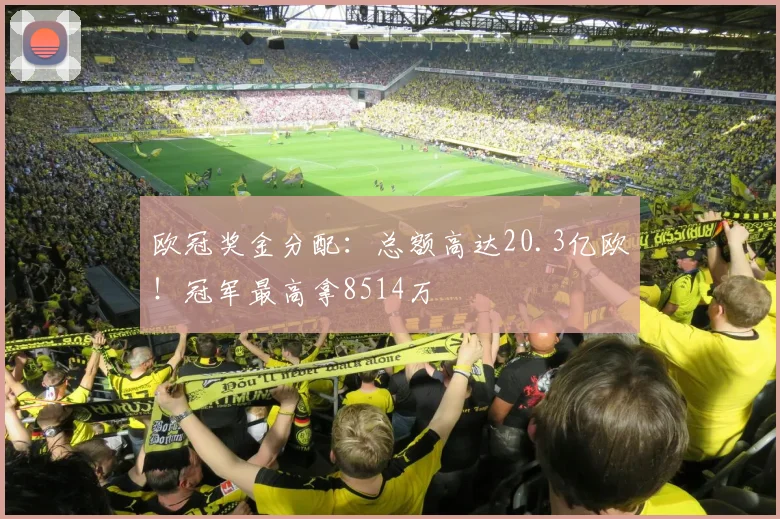 欧冠奖金分配：总额高达20.3亿欧！冠军最高拿8514万