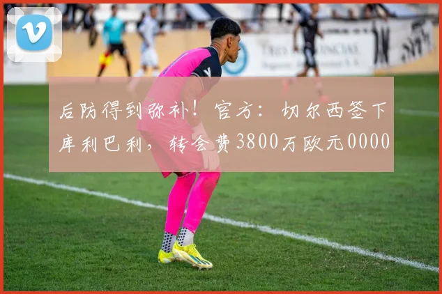 后防得到弥补！官方：切尔西签下库利巴利，转会费3800万欧元0000644