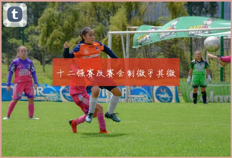十二强赛改赛会制微乎其微